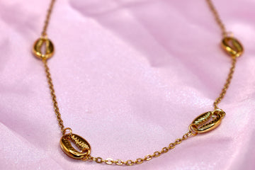 CowerieShell Necklace